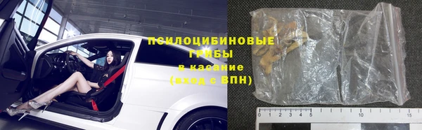 гидра Михайловск