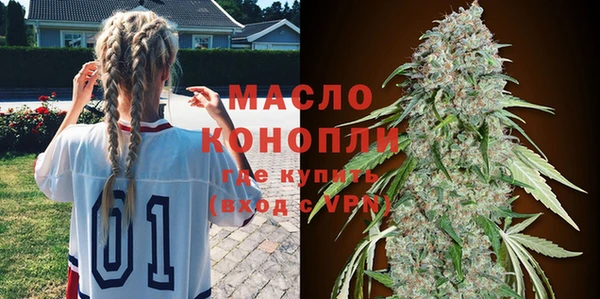 гидра Михайловск