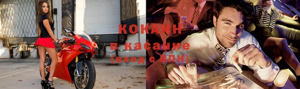 гидра Михайловск