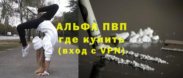 гидра Михайловск