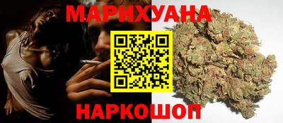 спайс Кингисепп