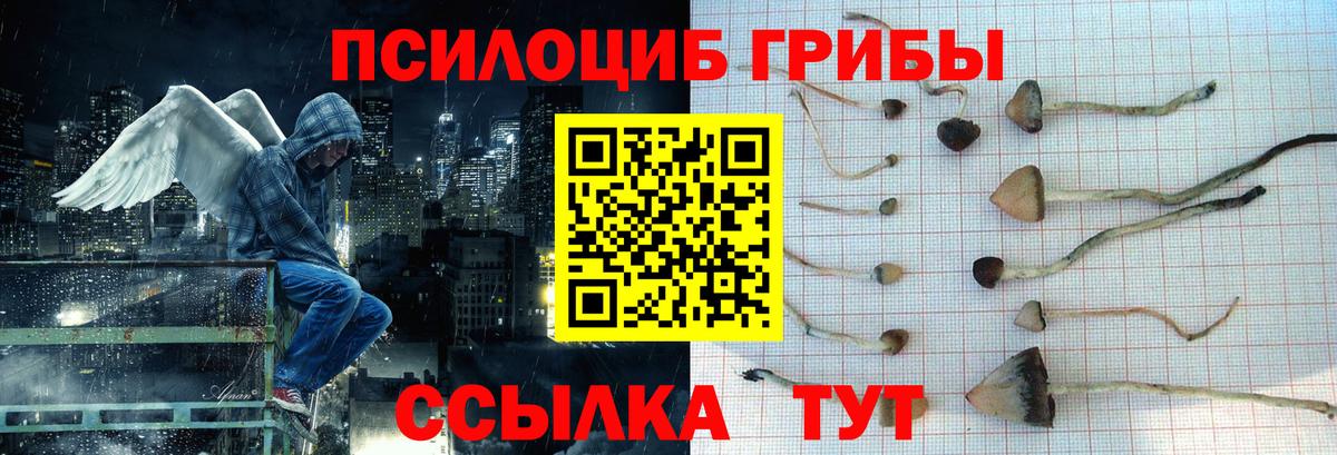Галлюциногенные грибы ЛСД Мелеуз